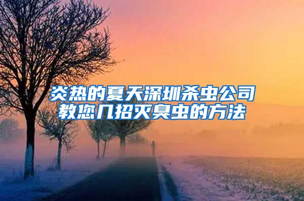 炎熱的夏天深圳殺蟲公司教您幾招滅臭蟲的方法