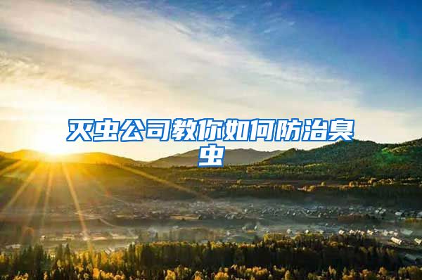 滅蟲公司教你如何防治臭蟲