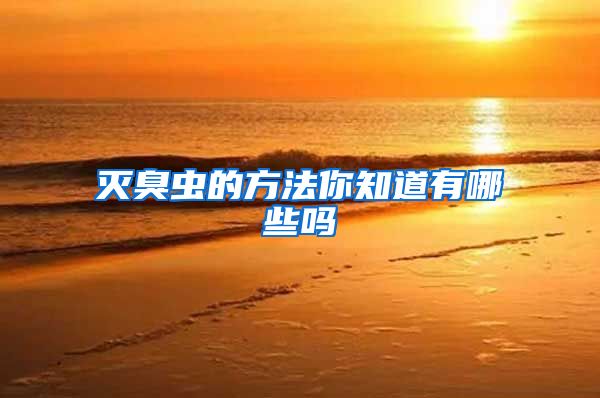 滅臭蟲的方法你知道有哪些嗎