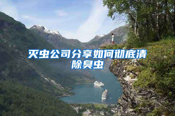 滅蟲公司分享如何徹底清除臭蟲