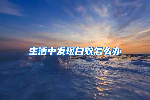 生活中發(fā)現(xiàn)白蟻怎么辦