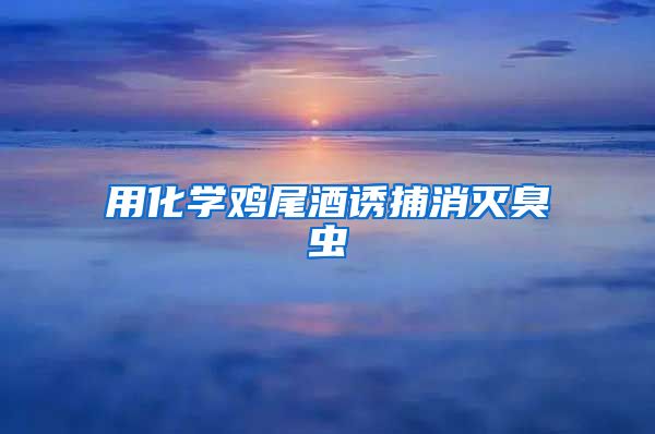 用化學(xué)雞尾酒誘捕消滅臭蟲