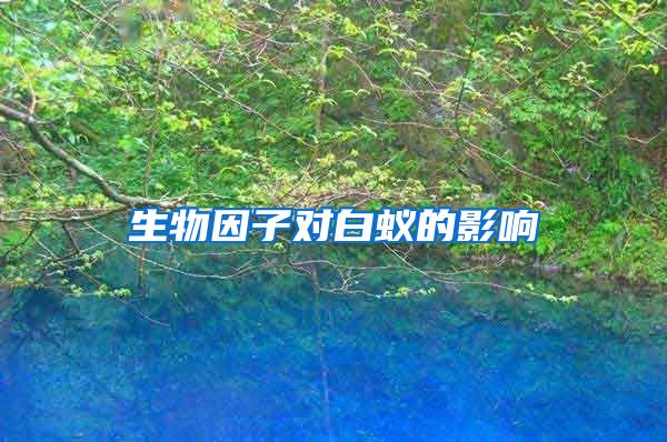 生物因子對白蟻的影響