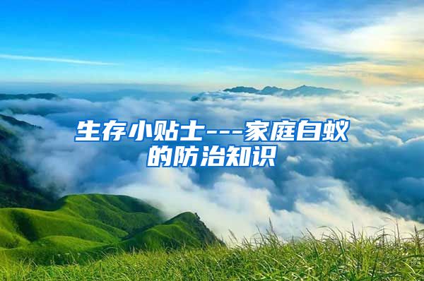 生存小貼士---家庭白蟻的防治知識