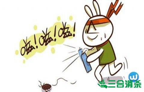 家里有蟑螂怎么辦,蟑螂怎么消滅 殺蟑螂公司怎么樣滅蟑螂