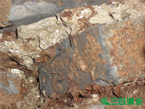 白蟻防治費用,滅白蟻殺白蟻公司 防治白蟻,白蟻防治方法