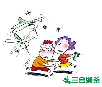 滅蚊公司,滅蚊子最有效的方法 滅蚊方法,滅蚊子方法
