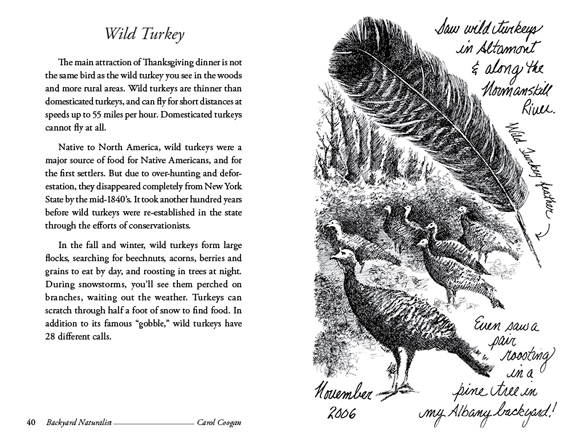Vol I Wild Turkey