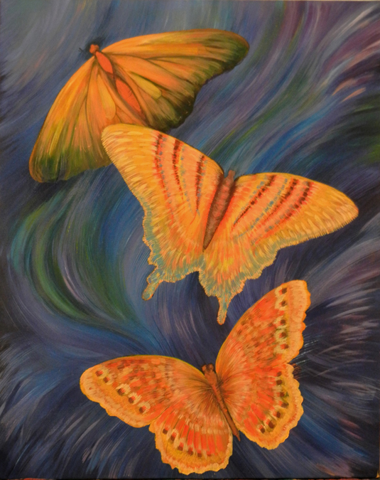Aurora-flutter-borealis Butterflies