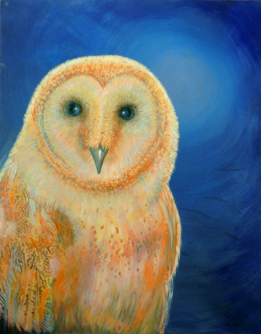 Midnight Insight Barn Owl