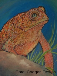 2011-toad